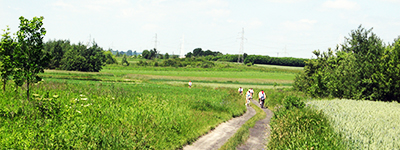 Szlak rowerowy Gmina Borzechów